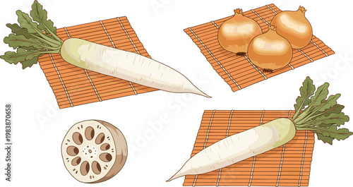 Daikon Radish and Lotus Root Vegetable Illustration Set with Whole Roots and Cross Section Slices for Cooking Ingredient Food Design Collection