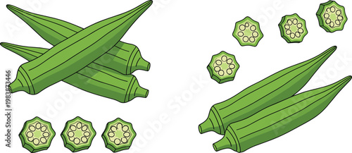 Okra Vegetable Illustration Set with Whole Pods and Sliced Pieces for Healthy Food Ingredient Organic Farming and Cooking Design Collection
