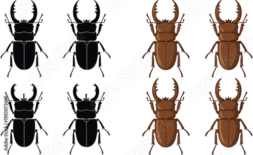 Stag Beetle Illustration Set with Black Silhouette and Brown Detailed Variations for Insect Wildlife Education and Nature Design Collection