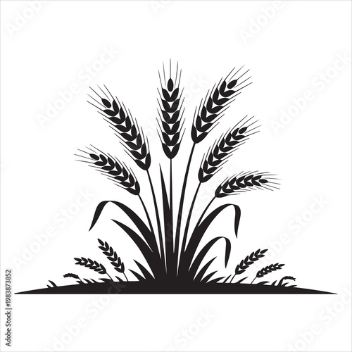 Wheat Plant Silhouette Agriculture Crop Minimal Vector Illustration