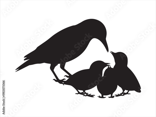 Mother bird feeding chicks silhouette vector animal family nature isolated on white background