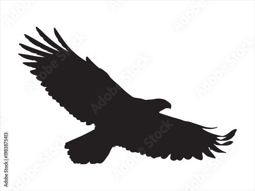 Eagle icon illustration silhouette vector illustration isolated on white background