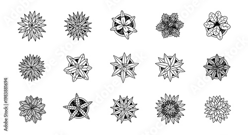 top down view of various potted house plants in a grid pattern