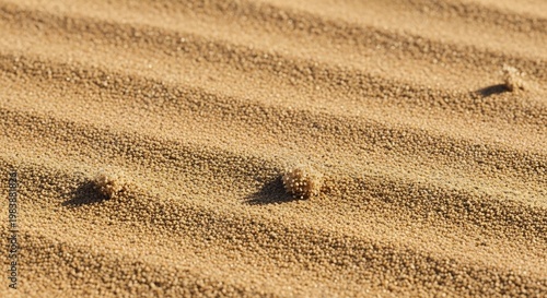Close-up of Rippled Sand Dunes with Small Pebbles and Shadows.