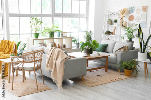 Interior of modern living room with grey sofas houseplants