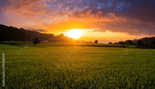 Golden Hour Over Field - A Serene Landscape at Sunset.