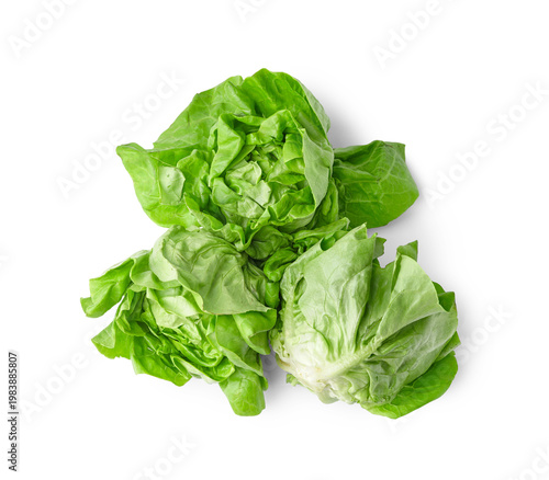 Fresh Boston lettuce on white background
