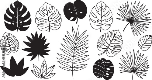 Diverse collection of leaf shapes and patterns in monochrome illustration vector icon