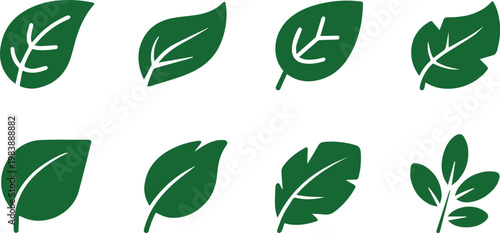 Leaf icons for season and foliage sets