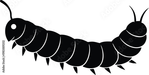 Caterpillar insect larva garden nature creature