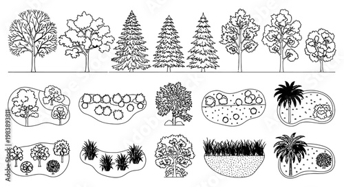 landscape design elements architectural plants and cad trees depicted as detailed line drawings for garden planning projects.