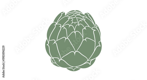 Artichoke vegetable close up view.