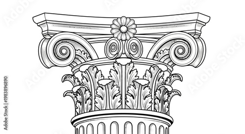Classical column capital with acanthus leaves and volutes illustration