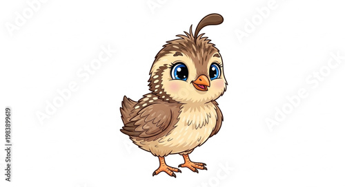 Cute Cartoon Quail Bird Illustration.