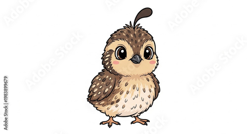 Cute Cartoon Quail Bird Illustration.