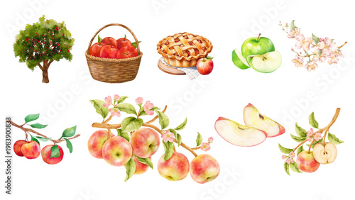 Watercolor illustrations of fresh apples, apple pie, and apple trees for harvest and autumn themes