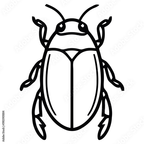Detailed beetle illustration in elegant black lines
