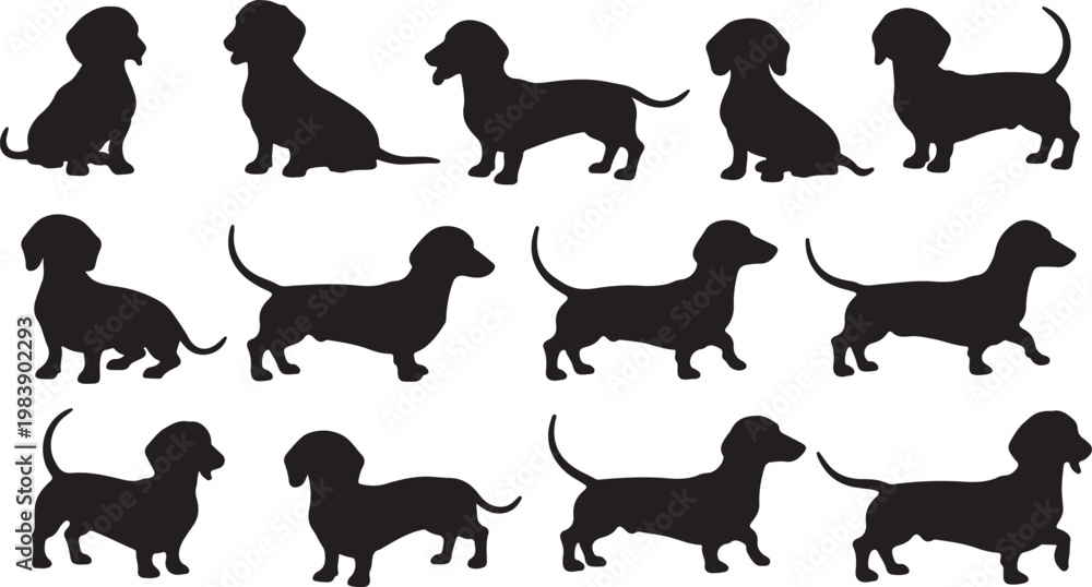 Fototapeta premium Diverse silhouettes of dachshund dogs in various relaxed poses and stances silhouette vector icon
