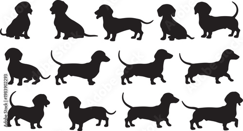 Diverse silhouettes of dachshund dogs in various relaxed poses and stances silhouette vector icon