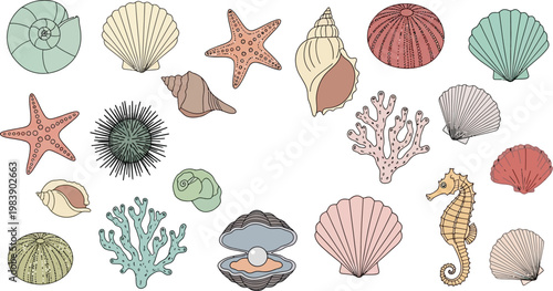 Adobe Illustrator Artwork