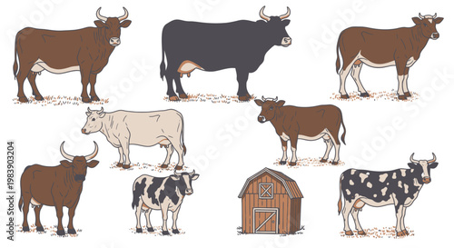 Cows and calves standing together outside.