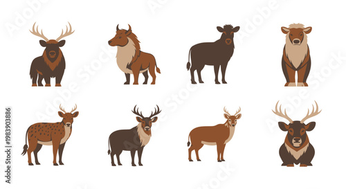 Group of Deer and Cattle Animals.
