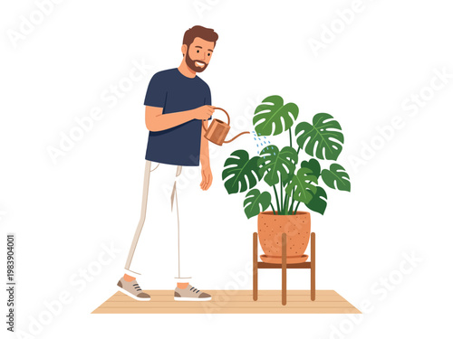 Man watering large green monstera plant in terracotta pot on wooden stand with watering can on wooden floor indoors Vector illustration