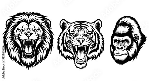 Lion tiger gorilla animal heads illustration.