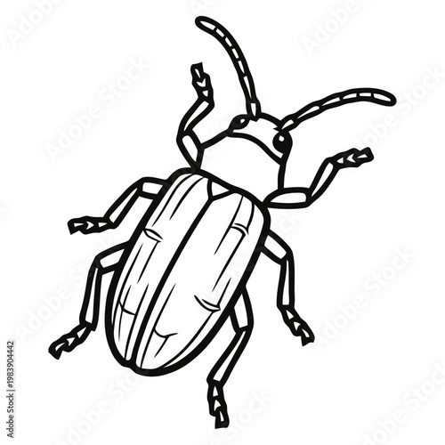 Tableau sur toile Detailed beetle illustration in black and white