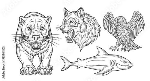 Wild animals tiger lion eagle shark.