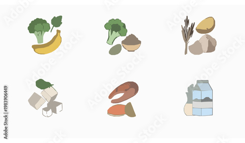Minimal healthy food groups vector set with fruits vegetables grains protein and dairy alternatives line art style