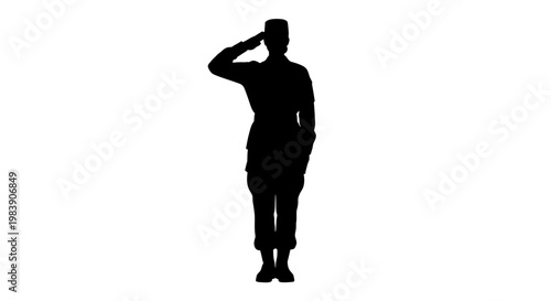 A soldier stands at attention giving a salute in a stark silhouette