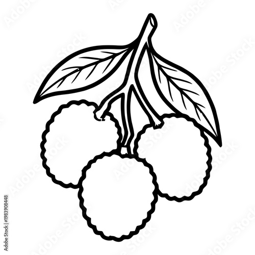 Fresh lychee fruit with leaves