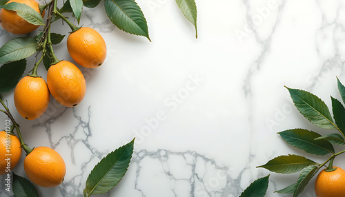 oranges on a branch white background 