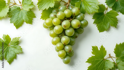 bunch of green grapes white background 