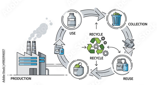 Vector illustration depicting a circular recycling process of a plastic bottle, from production at a factory to reuse, against a clean white background, conveying an environmentally