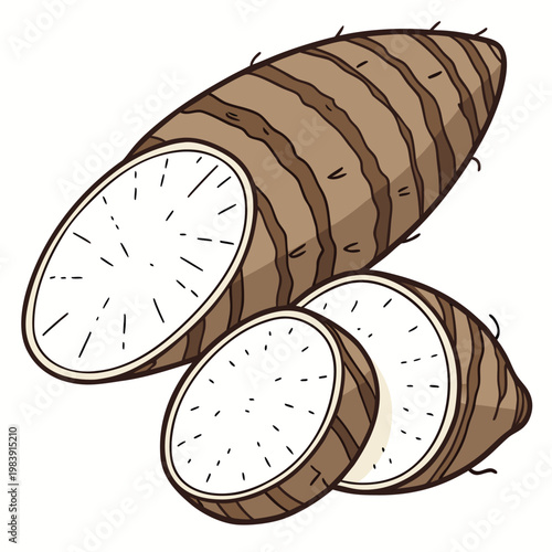 taro root vector