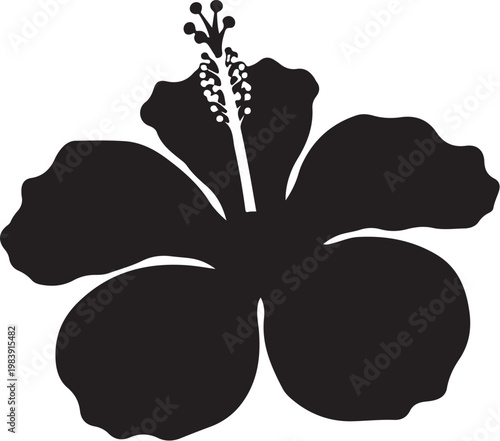 Black hibiscus flower silhouette white background