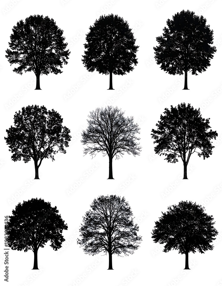 Fototapeta premium A collection of eight tree silhouettes with varying foliage