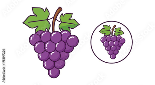 A vibrant bunch of purple grapes and its icon a flat silhouette