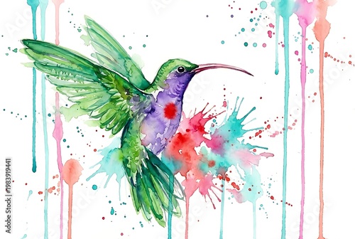 vibrant watercolor hummingbird illustration with colorful splatter art design