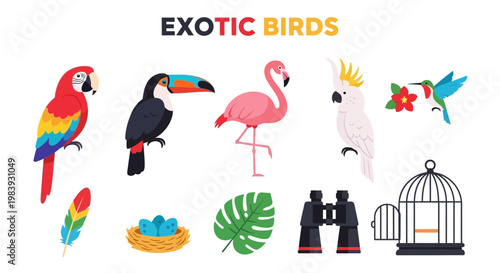 Collection of colorful exotic birds nature elements and birdrelated objects on a white background