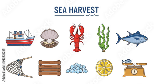 Illustration of ten sea harvest items boat oyster lobster seaweed tuna net crate ice lemon scale