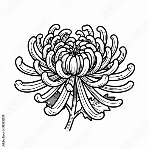 Elegant Single Chrysanthemum Flower Vector Illustration, Traditional Japanese Style Black and White Floral Line Art, Minimalist Botanical Graphic Isolated on White Background for Design