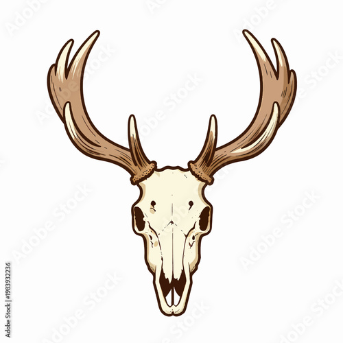 Vintage Flat Vector Illustration of a Single Elk Skull with Branching Antlers, Rustic Wildlife Drawing Isolated on White, Hand-Drawn Engraving Style for Hunting and Nature Concepts