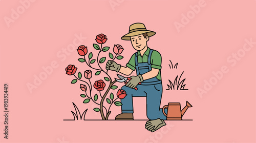Man Watering Red Roses Garden.