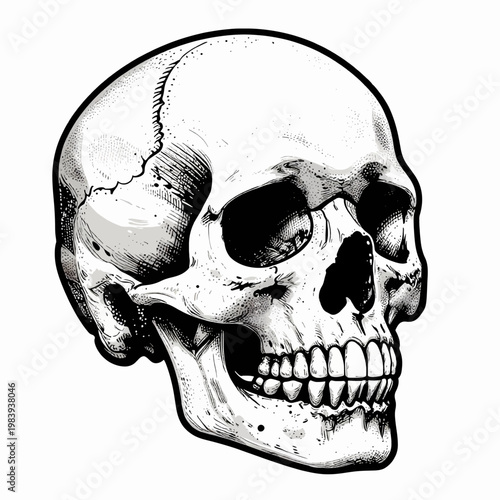 Vintage Stipple Art Illustration of a Single Human Skull, Gritty Black and White Anatomical Vector Graphic for Gothic and Edgy Design Concepts, Isolated on White Background