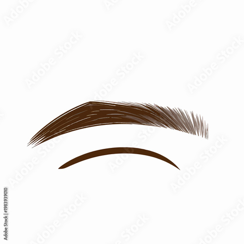 Flat vector illustration of a single S-shaped dark brown eyebrow for a woman, minimalist beauty icon isolated on white background, professional eyebrow shaping and microblading concept art.
