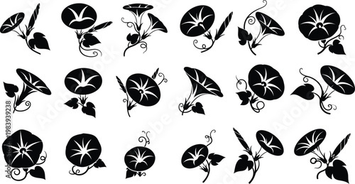 Εκτύπωση καμβά Black and white floral with leaves and flowers 1