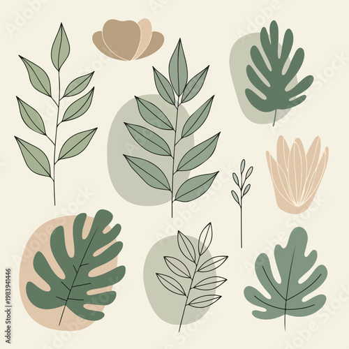 Collection of various green leafy plants 1.